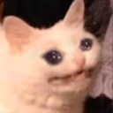 cryingcat emote