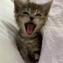 gm animated emote