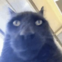 Bro emote