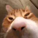 uh emoji