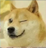 doge emote