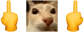 fu emote