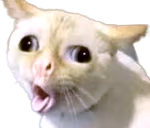 hurgh emote