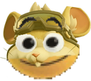 haga