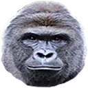 Harambe emote