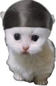 duragpert emote