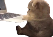 Maximilian static emote