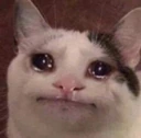 CE_SAD emote