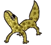 gecko_groove emote