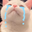 SadPag emote