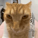 juh emote