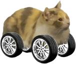 CAR emote