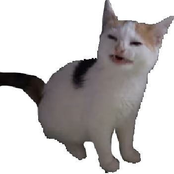 no_like_cat emote