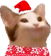 popcatchristmas emote