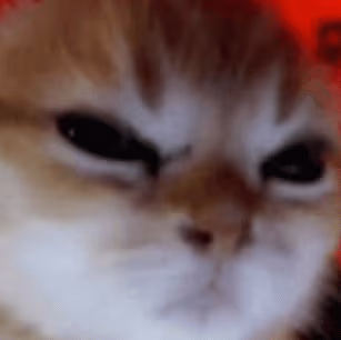 angrycat emote