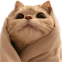 Comfy emote