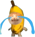 Bananacatcry emote