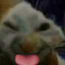 xdf emote