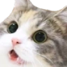 CE_Wowww emote