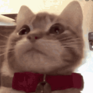 monkeplayz avatar