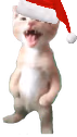 CatScream emote