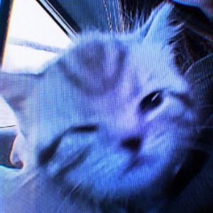 ix0bst avatar