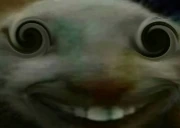 dx emote