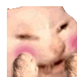 cattomg emote