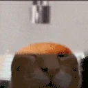 lobuhtomy emote