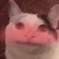 beluga_cat_blush emote