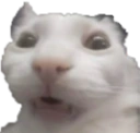 Hugh emote