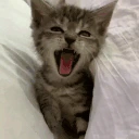 gm emote