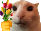 catTulips emote