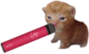 vapebert emote
