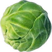 BrusselsSprout emote