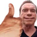 arnoldProceed emote