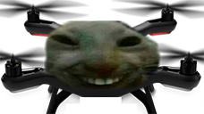 xdDrone static emote