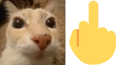 pati emote