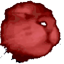 catJamHigh animated emote