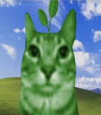 gatoplanta emote