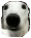 Leon emote