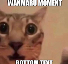 WanmaruMoment static emote