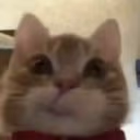 CatHmm emote