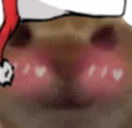 FlushedCat emote
