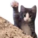 Present emote