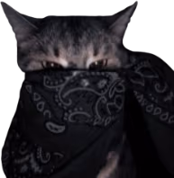 black_bandana_cat emote