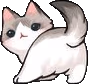 cat_butt emote