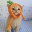 Carrot emote