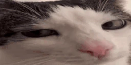 wink emoji