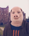PORK emote